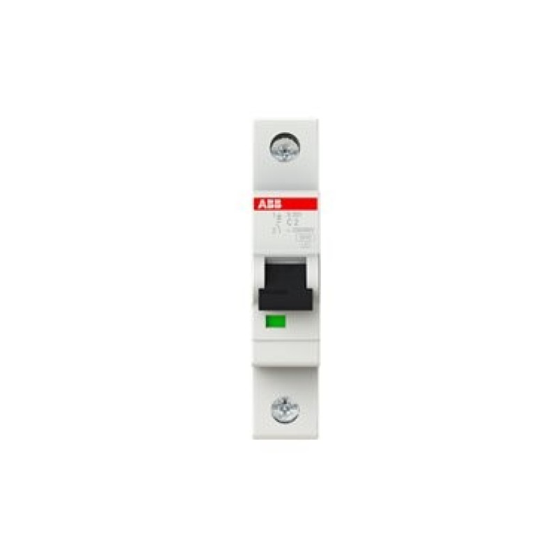 2CDS251001R0024 ABB S201-C2