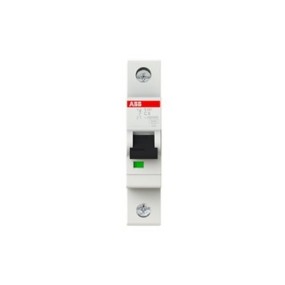 2CDS251001R0064 ABB S201-C6