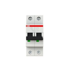 2CDS252001R0104 ABB S202-C10